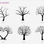 Wedding Tree Vorlage Inspiration Wedding Tree Classic Wedding Tree Gästebuch