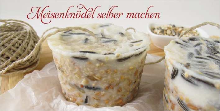 Weihnachtsbasteln Mit Kleinkindern Vorlagen Großartig Aldi SÜd Meisenknödel Selber Machen