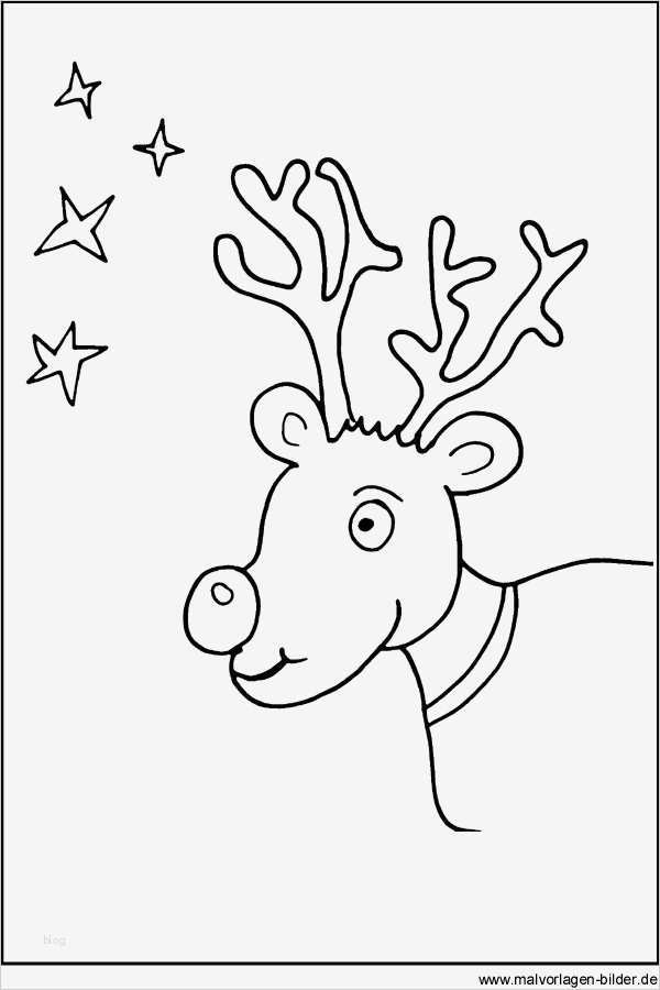 Weihnachtsbilder Vorlagen Zum Ausdrucken Wunderbar Kostenlose Malvorlagen Weihnachten Rentier Und Sterne