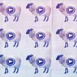 Werbevideo Vorlagen Wunderbar Erklärvideo Templates Warum Man Sie Nicht Einsetzen sollte