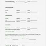 Wg Mietvertrag Vorlage Süß Mietvertrag Einliegerwohnung Hier Zum Download