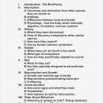 White Paper Vorlage Luxus Großartig White Paper Vorlage Fotos Vorlagen Ideen