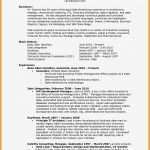 Widerspruch Dynamik Lebensversicherung Vorlage Erstaunlich Widerruf Versicherung Vorlage Moderne Häuser 2018