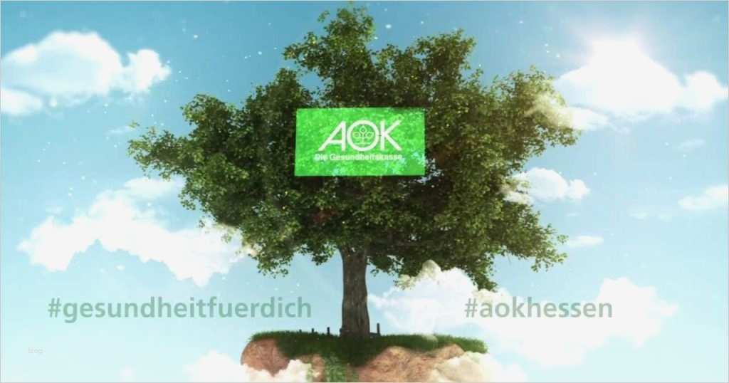 Widerspruch Lohnabrechnung Vorlage Cool Bewerbung Aok Hessen