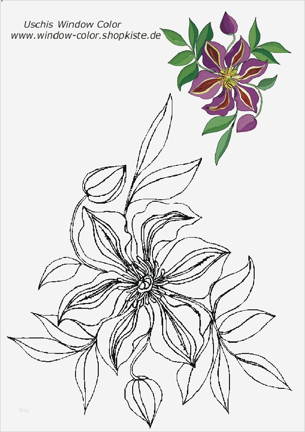Window Color Vorlagen Blumen Best Of Blumen Vorlagen 1