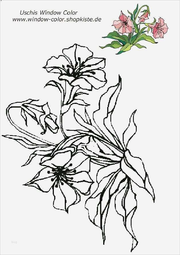 Window Color Vorlagen Blumen Best Of Über 1 000 Ideen Zu „window Color Vorlagen Auf Pinterest
