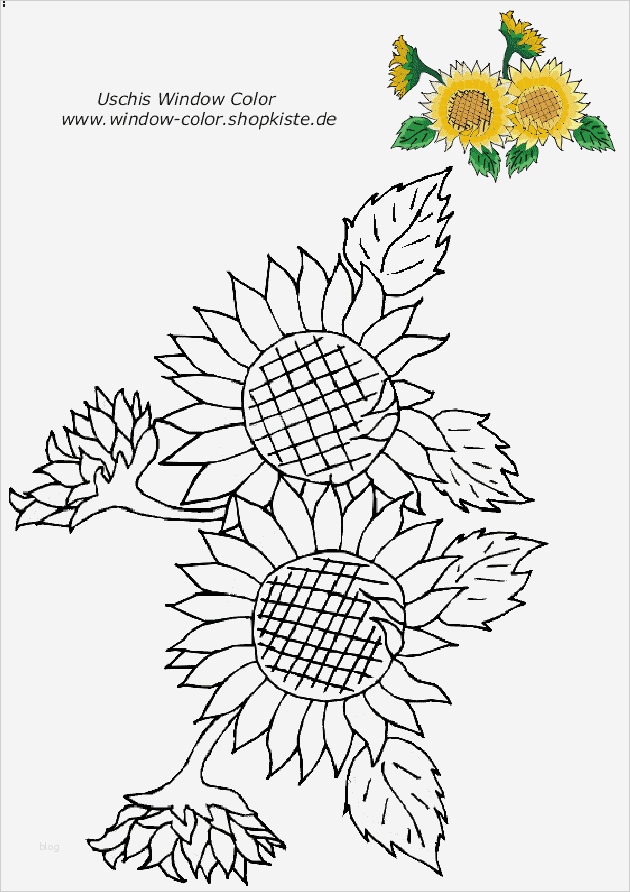 Window Color Vorlagen Blumen Einzigartig Blumen Vorlagen 2