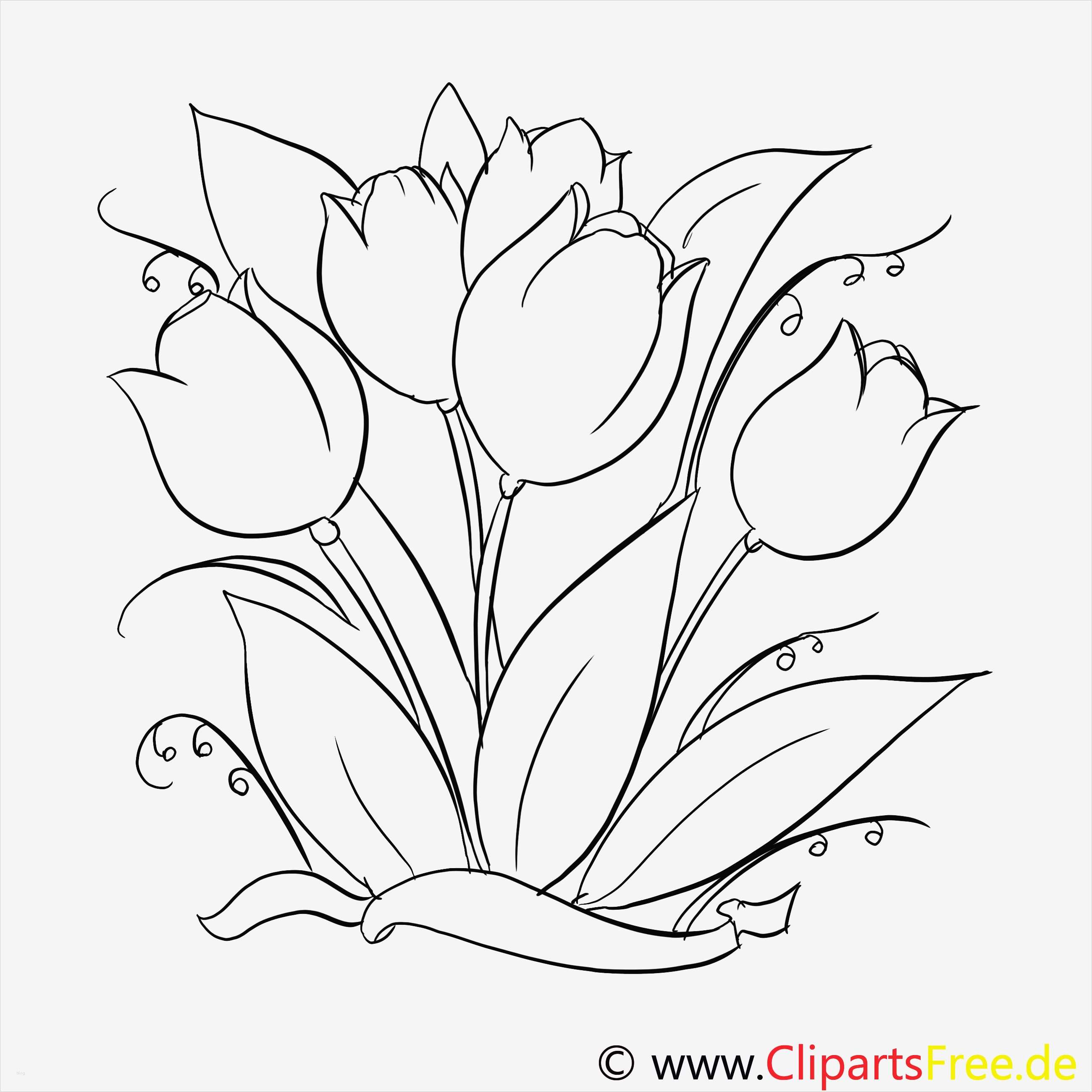 99 Window Color Blumen Ideen