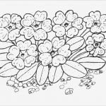 Window Color Vorlagen Blumen Elegant Blumen Window Color