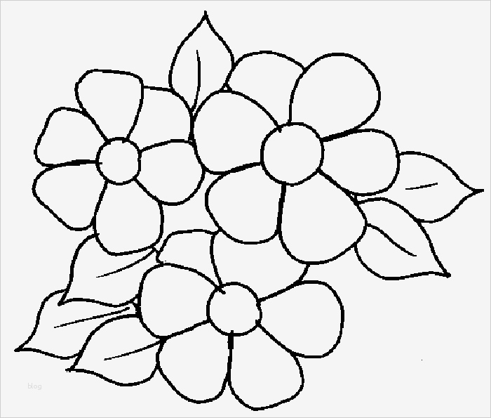 Window Color Vorlagen Blumen Erstaunlich Blume Window Color