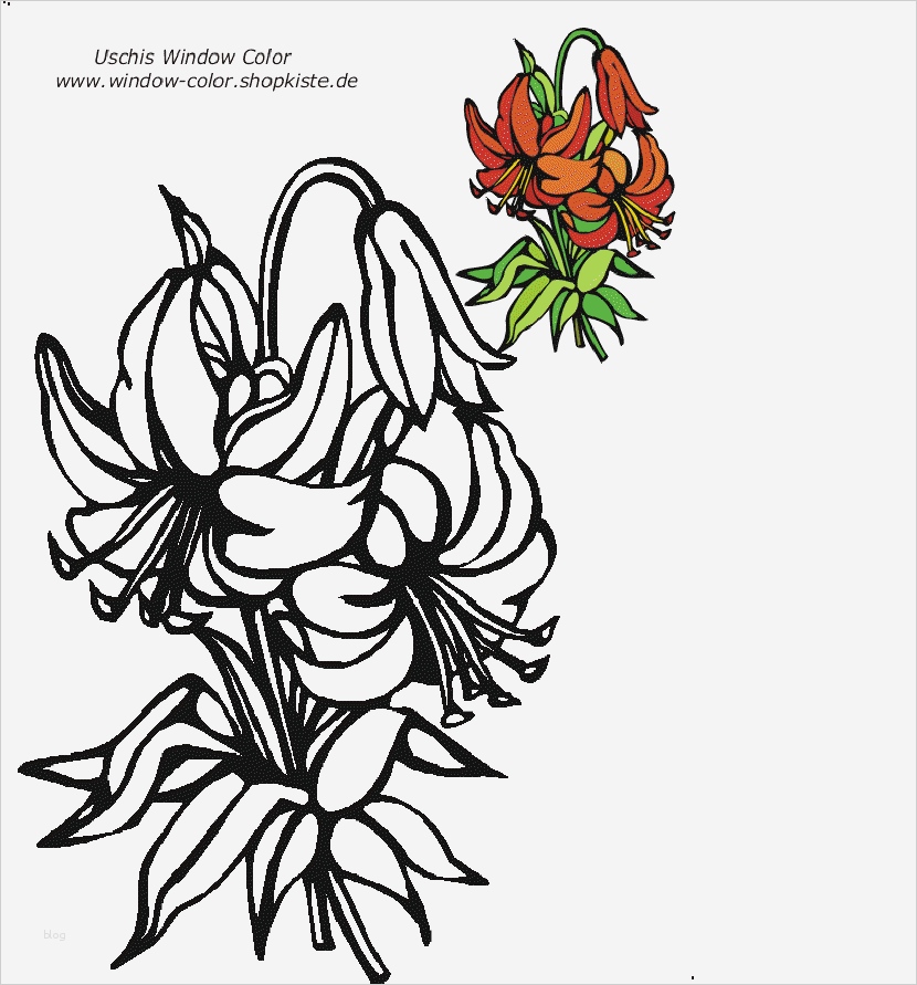 Window Color Vorlagen Blumen Erstaunlich Blumen Vorlagen 1 Az Colorare