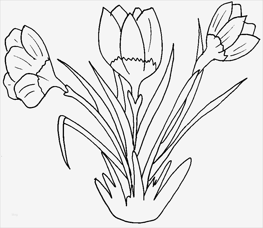 Window Color Vorlagen Blumen Erstaunlich Window Color Az Dibujos Para Colorear