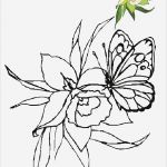 Window Color Vorlagen Blumen Genial Blumen Vorlagen 1