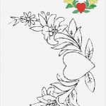 Window Color Vorlagen Blumen Gut Blumen Vorlagen 2