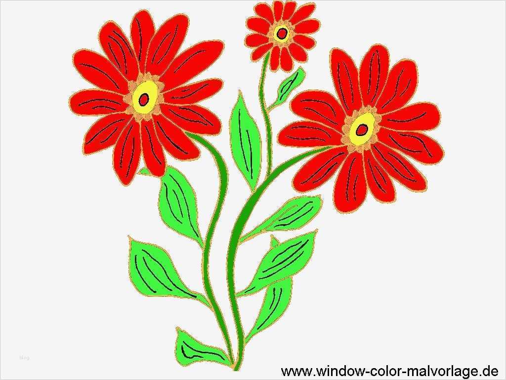 Window Color Vorlagen Buchstaben Kostenlos Elegant Window Color Blumen