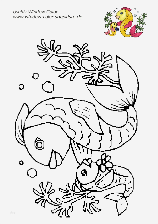 Window Color Vorlagen Cool Bad Vorlagen Vorlage Ideen Window Color Vorlagen Cool Bad Vorlagen Vorlage Ideen