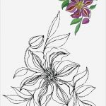 Window Color Vorlagen Fabelhaft Blumen Vorlagen 1