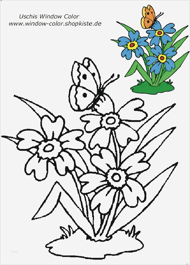 Window Color Vorlagen Kostenlos Einzigartig Window Color Vorlagen