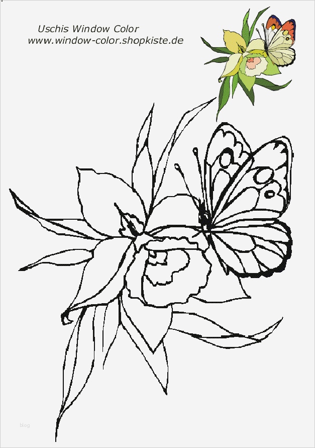 Window Color Vorlagen Kostenlos Fabelhaft Blumen Vorlagen 1