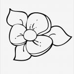 Window Color Vorlagen Kostenlos Inspiration Blume Window Color Vorlage