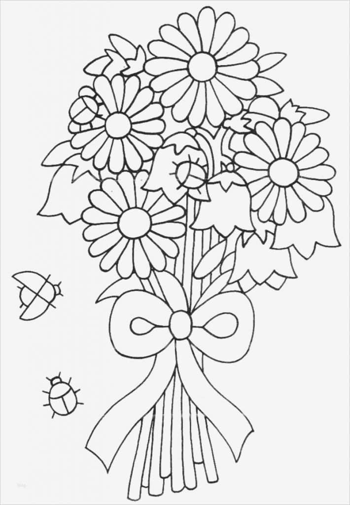 83 Bewundernswert Window Color Vorlagen Kostenlos Vorräte 3 Window Color Vorlagen Kostenlos Wunderbar 99 Window Color Blumen Ideen