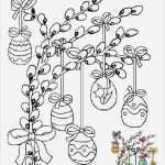 Window Color Vorlagen Kostenlos Wunderbar Die Besten 25 Window Color Vorlagen Ideen Auf Pinterest