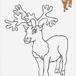 Window Color Vorlagen Weihnachten Erstaunlich Weihnachten Vorlagen 2