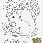 Window Color Vorlagen Winter Schön Herbst Vorlagen Herbst Pinterest