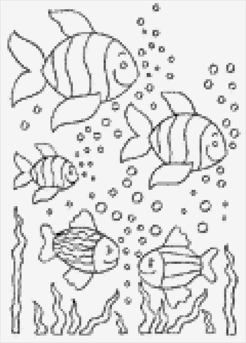 Window Colour Vorlagen Beste Fische