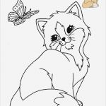 Window Colour Vorlagen Bewundernswert Tiere Vorlagen 3