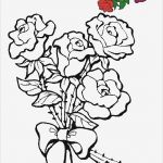 Window Colour Vorlagen Elegant Window Color Vorlagen Az Colorare