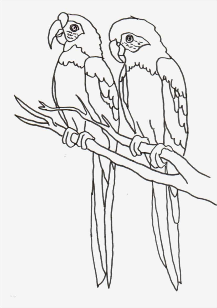 Window Colour Vorlagen Großartig Marias Decoideen Windowcolor Tiere 2