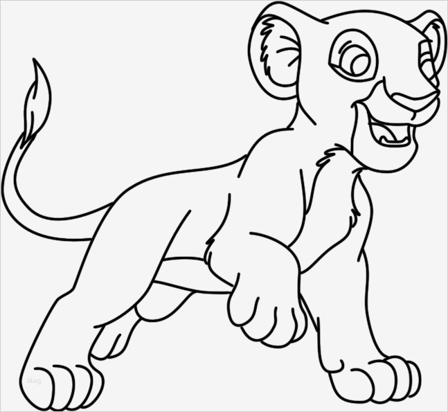 Window Colour Vorlagen Hübsch Basteln Macht Spass Bastelanleitungen Windowcolor