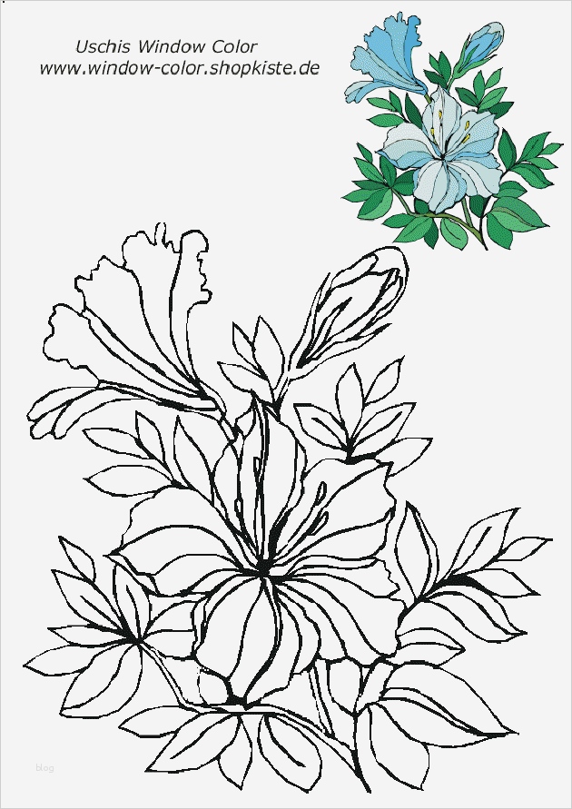 Windowcolor Vorlagen Angenehm Blumen Vorlagen 1