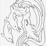 Windowcolor Vorlagen Erstaunlich Die 25 Besten Ideen Zu Window Color Vorlagen Auf