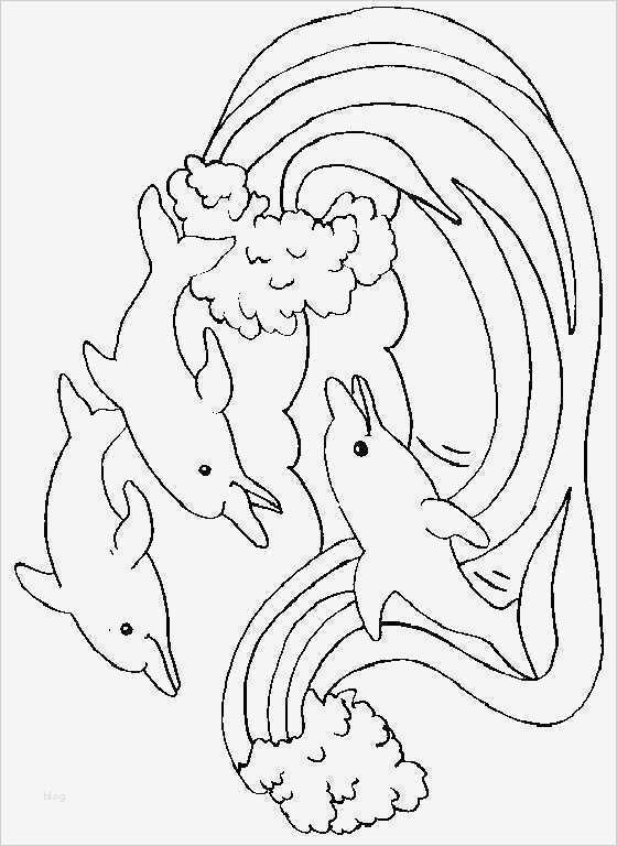 Windowcolor Vorlagen Erstaunlich Die 25 Besten Ideen Zu Window Color Vorlagen Auf