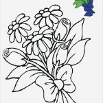 Windows Color Vorlagen Angenehm Blumen Vorlagen 2