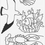 Windows Color Vorlagen Bewundernswert Window Color Vorlagen Bad Window Color Pinterest