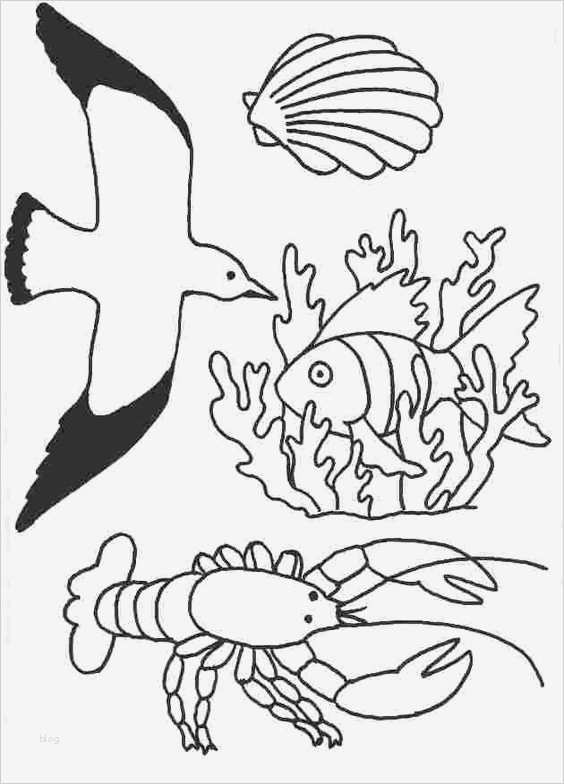 Windows Color Vorlagen Bewundernswert Window Color Vorlagen Bad Window Color Pinterest