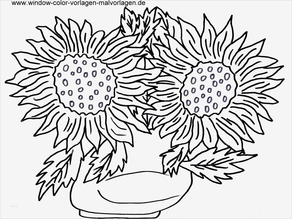 Windows Color Vorlagen Cool Malvorlagen Blumen Malvorlagen Download