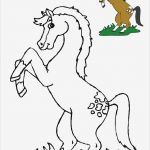 Windows Colour Vorlagen Elegant Tiere Vorlagen 3