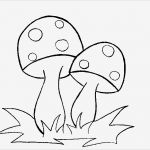 Windows Colour Vorlagen Erstaunlich Vorlagen Für Window Color Und Homepages Bildchen