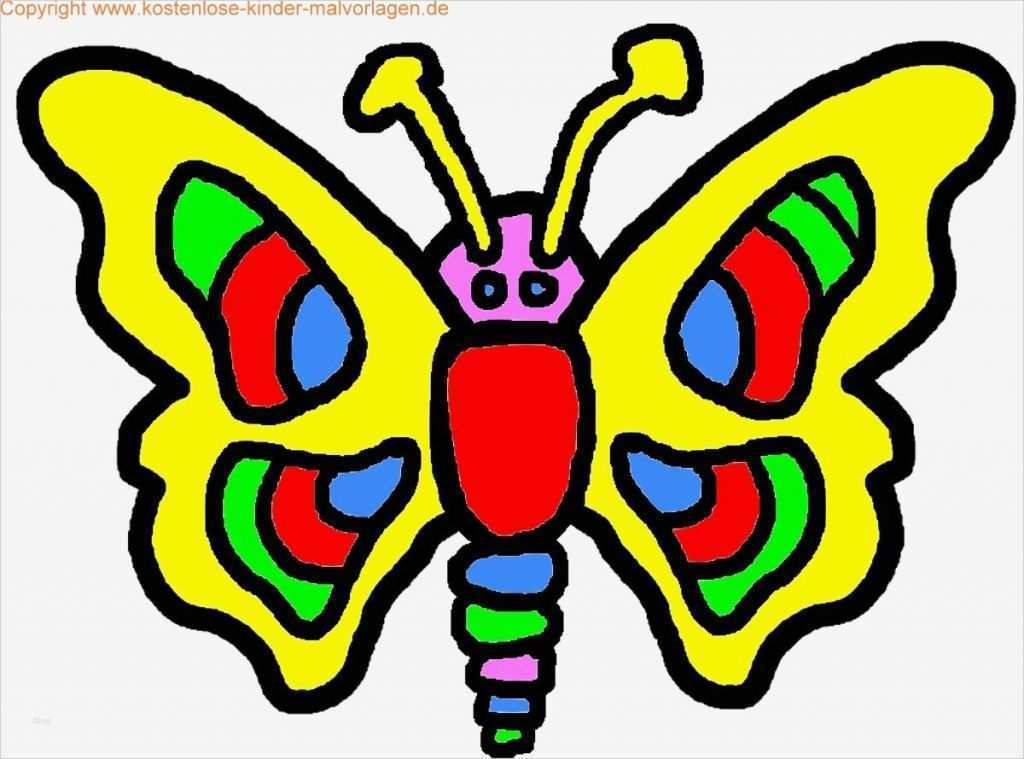 Windows Colour Vorlagen Genial Window Color Vorlagen