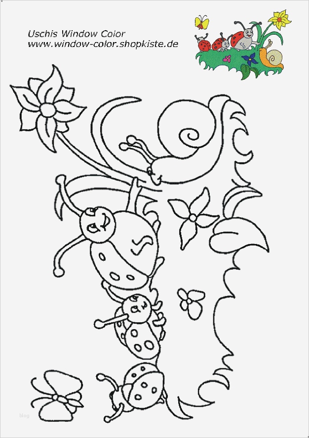 Windows Colour Vorlagen Süß Kinder Vorlagen 7