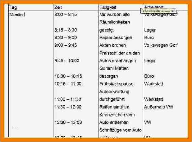 Wochenbericht Vertrieb Vorlage Wunderbar 5 Wochenbericht Vorlage