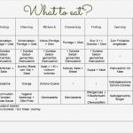 Wochenplan Essen Vorlage Einzigartig Clean Eating Wochenplan Kw 1 2016 Fit and Sparkling Life