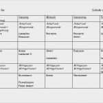 Wochenplan Grundschule Vorlage Beste Wochenplan Grundschule Vorlage Süß Allgemein