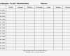 Wochenplan Grundschule Vorlage Elegant tolle Wochenplan Planer Vorlage Ideen Entry Level Resume