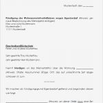 Wohnung Kündigen Wegen Schimmel Vorlage Erstaunlich Muster Widerspruch Gegen Eine Eigenbedarfskündigung