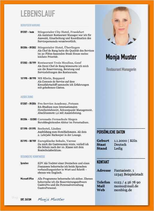 Wohnungsanzeige Vorlage Wunderbar 5 Lebenslauf Beispiele